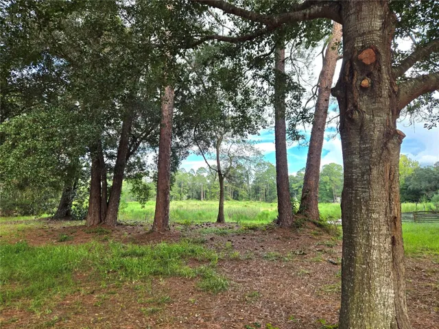 Rear yard