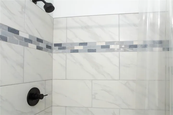 Hall Bathroom Shower