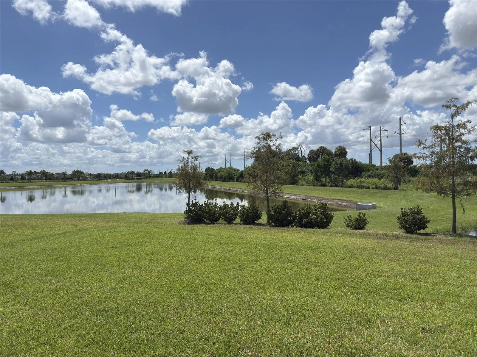 View from Patio