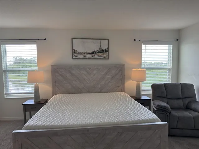 Primary Bedroom- With king size bed