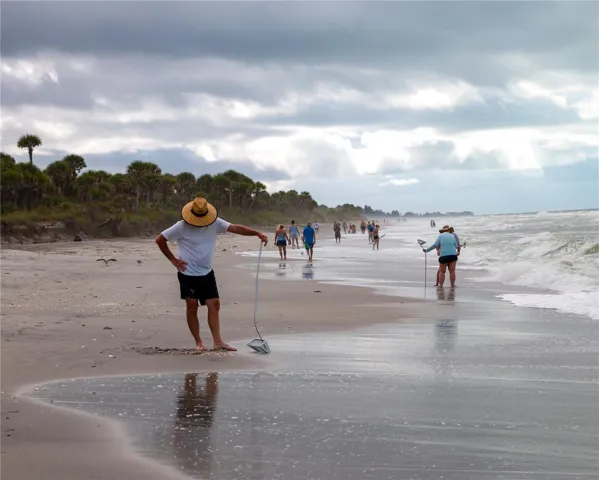 Shark tooth hunting at Caspersen Beach