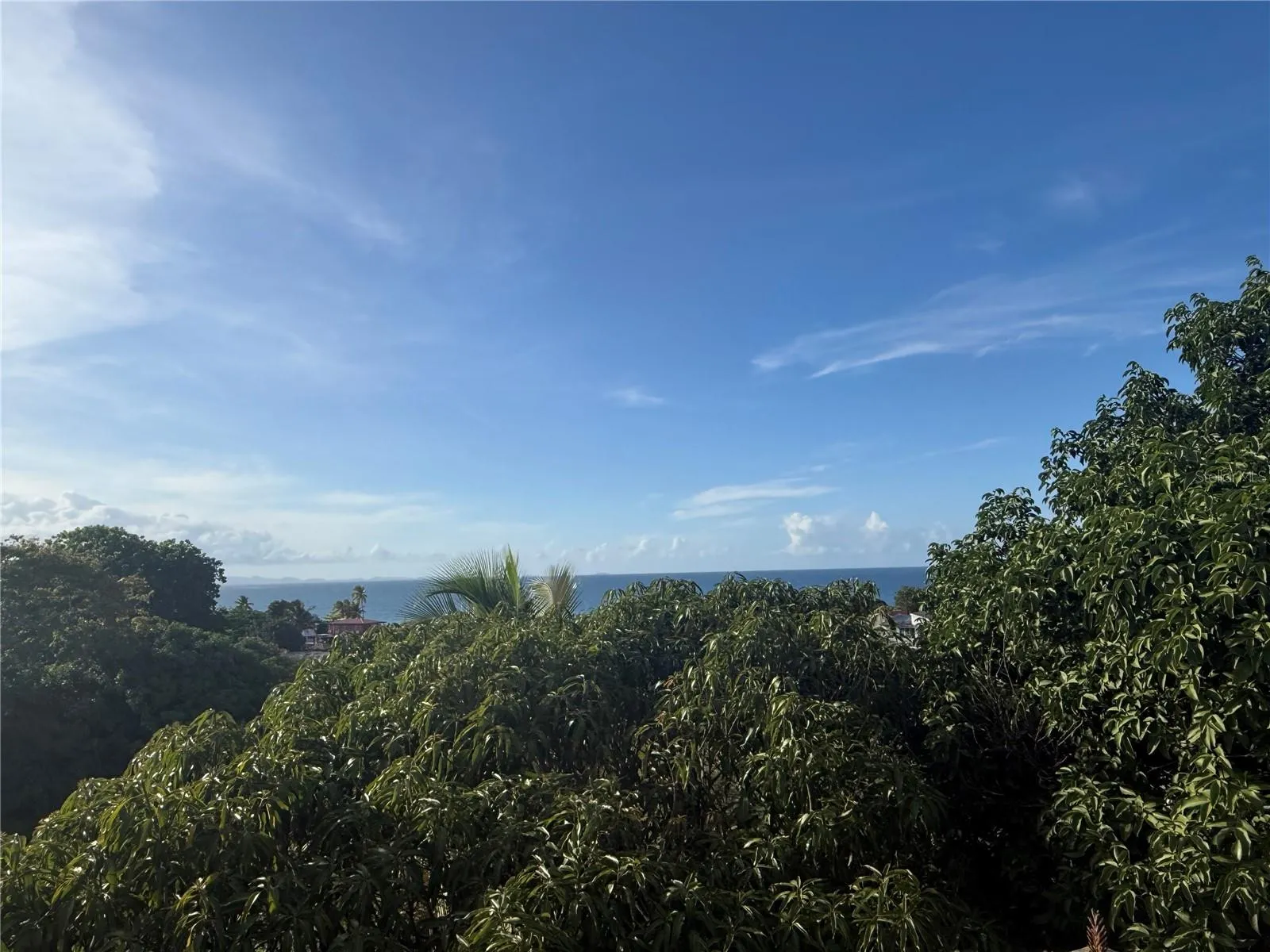 Water views from Rooftop.