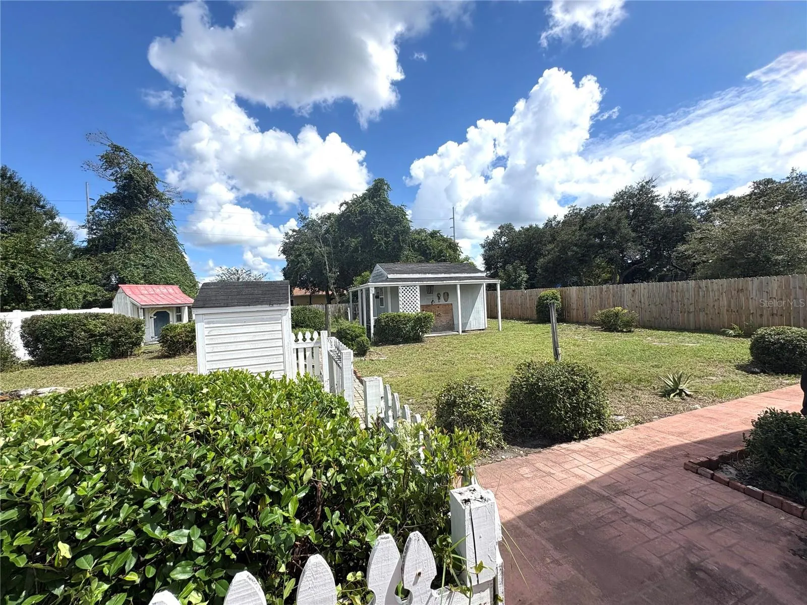 Backyard