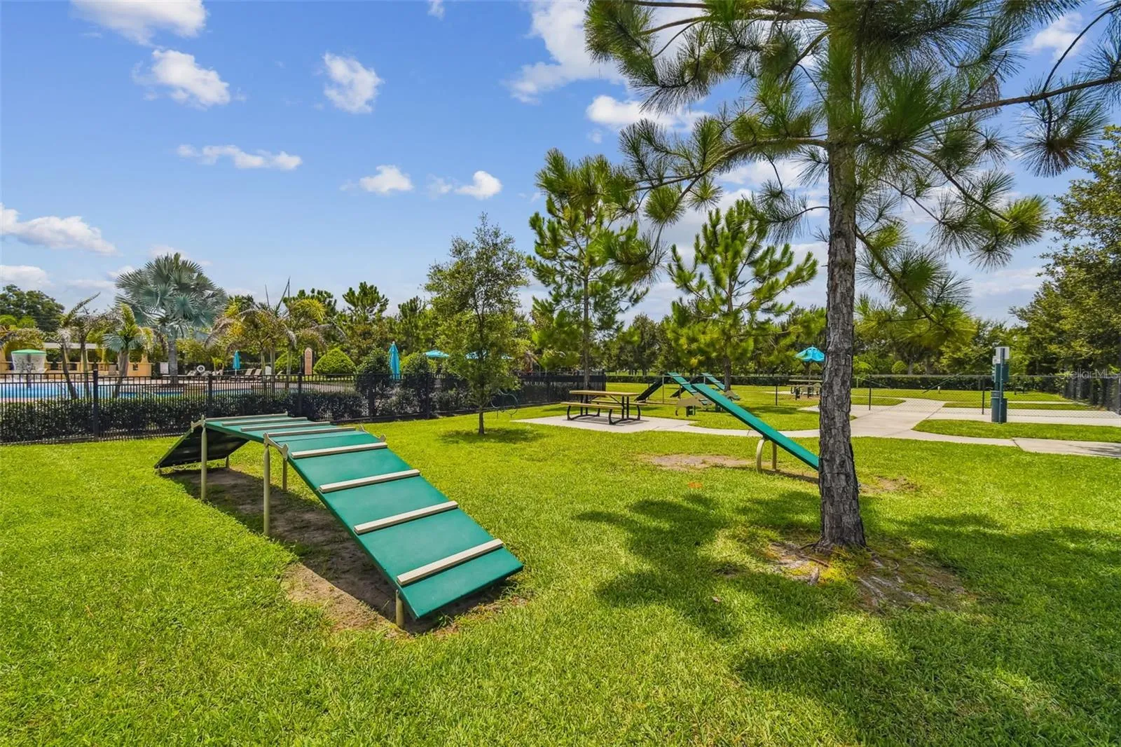 Dog Park