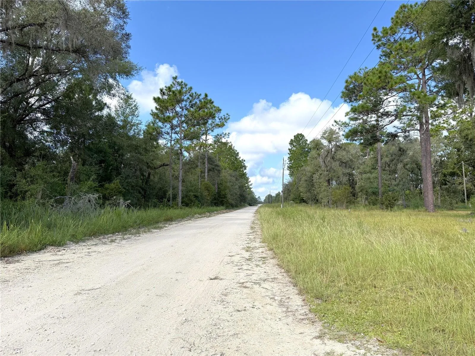 Road in front of home