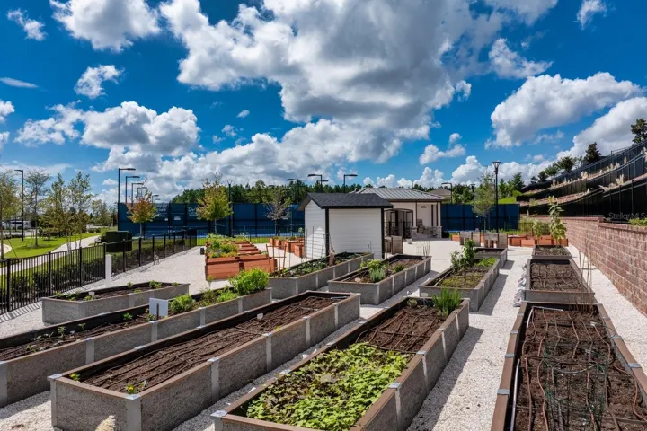 Community Garden