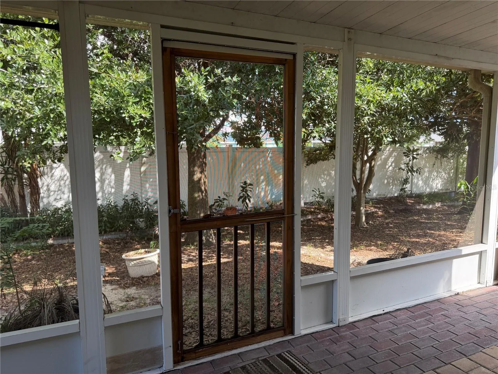 Lania and back yard