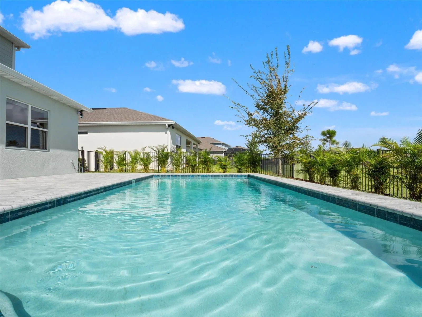 Private Pool with Fence & Privacy Hedge