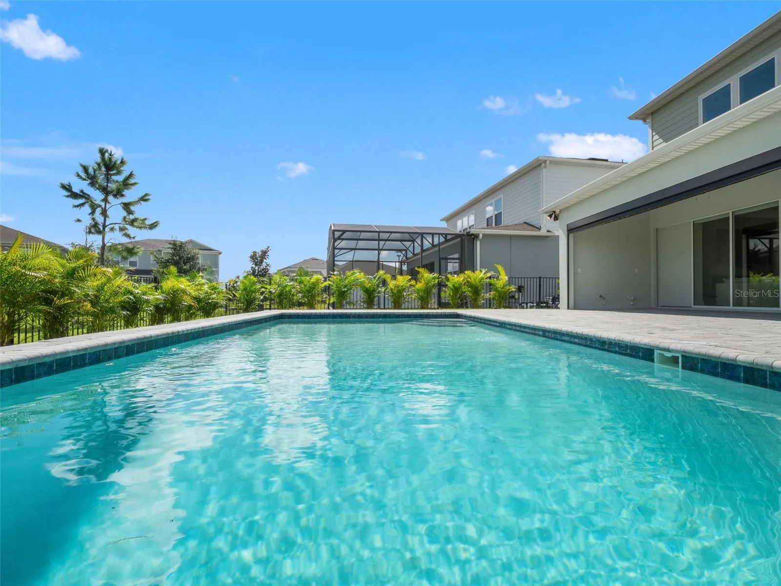 Private Pool with Fence & Privacy Hedge
