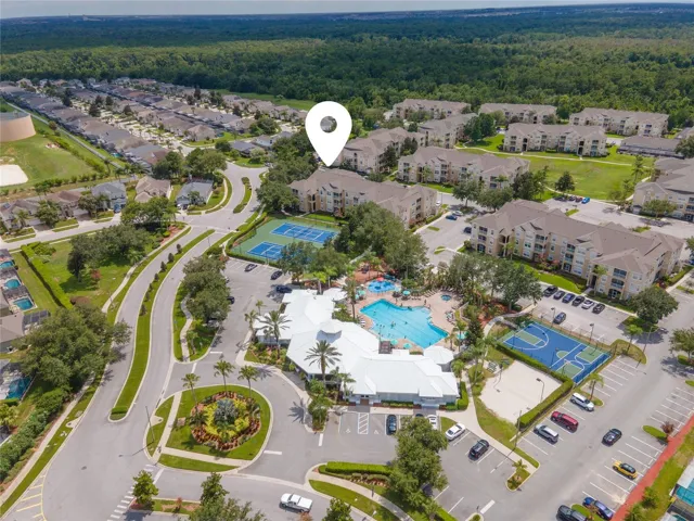 Community bird view