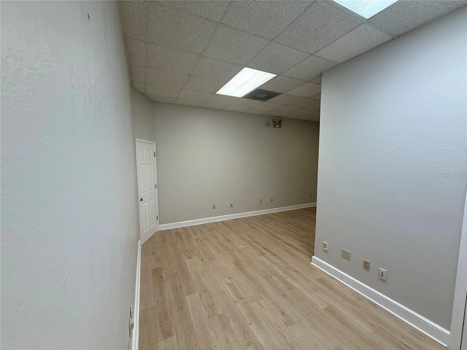 Suite 12