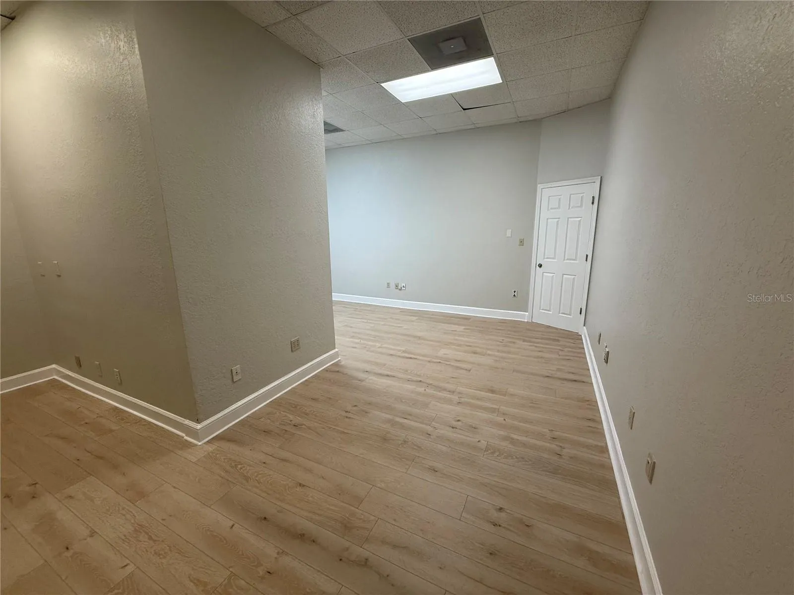 Suite 12