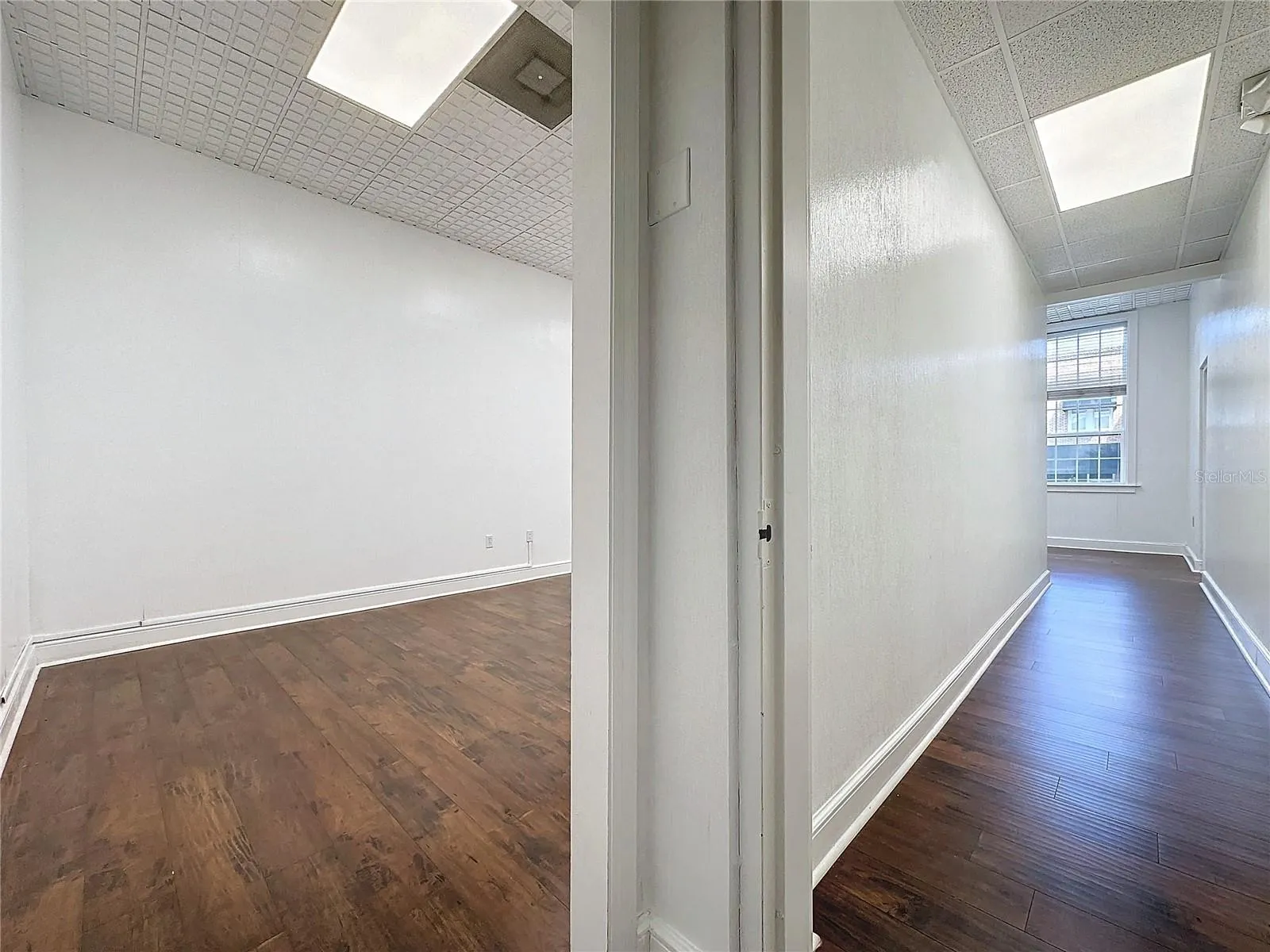 Suite 5