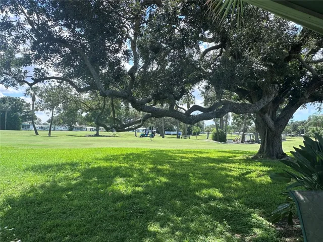 View from back patio