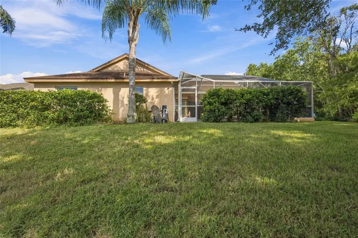 Large Backyard