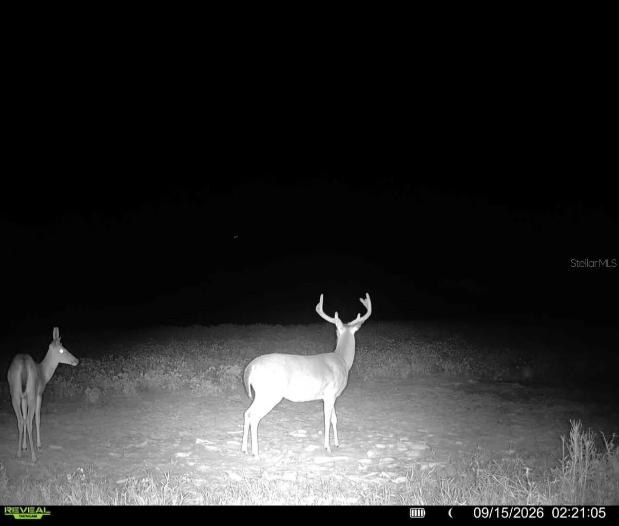 Sept 2026