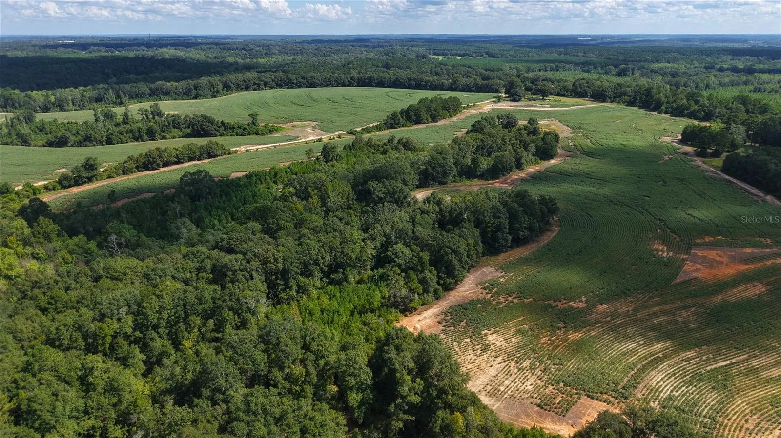 South Field / Woods