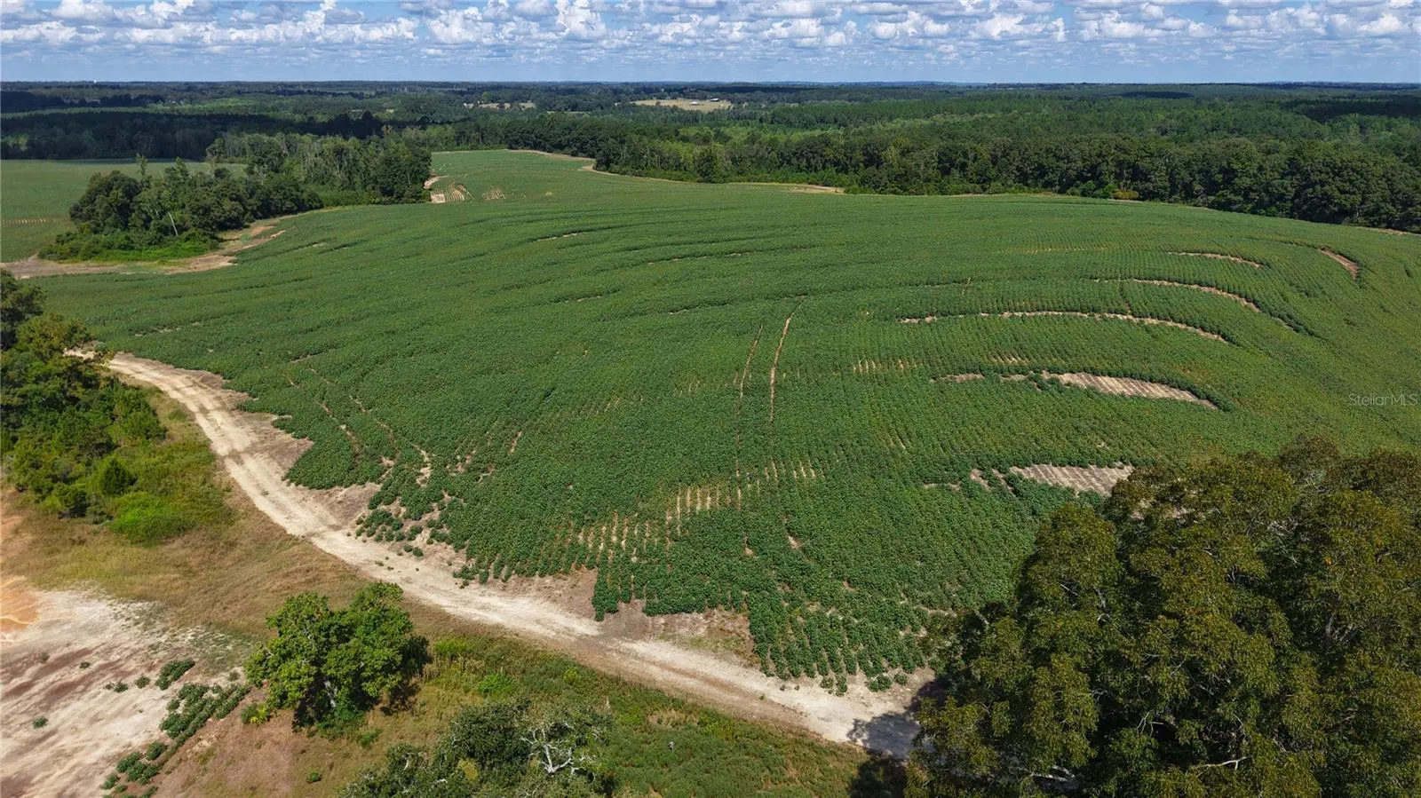 North Field