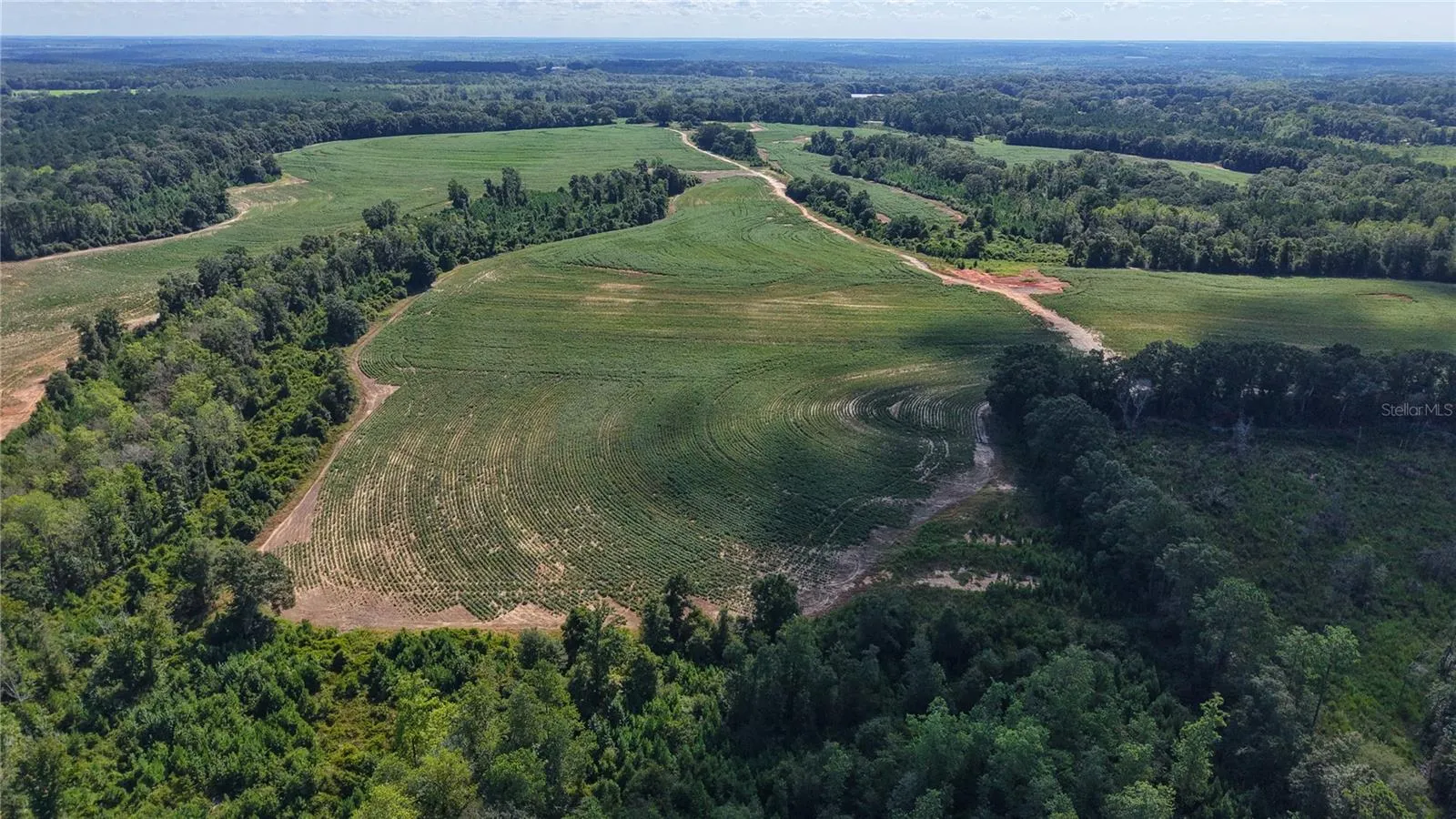 Aerial View From West