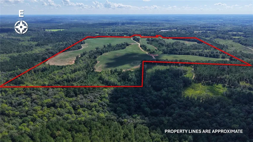 Aerial View From West