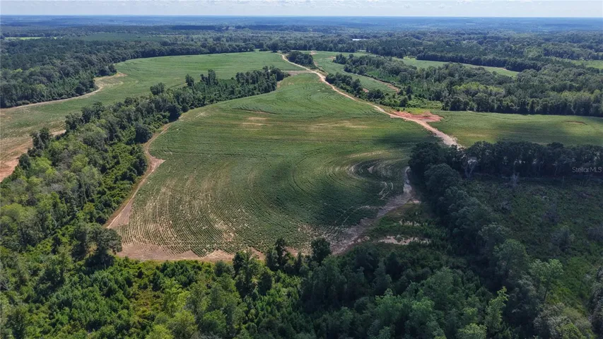 Aerial View From West