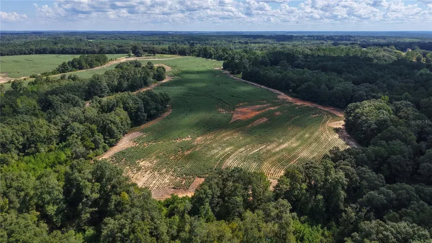 South Field