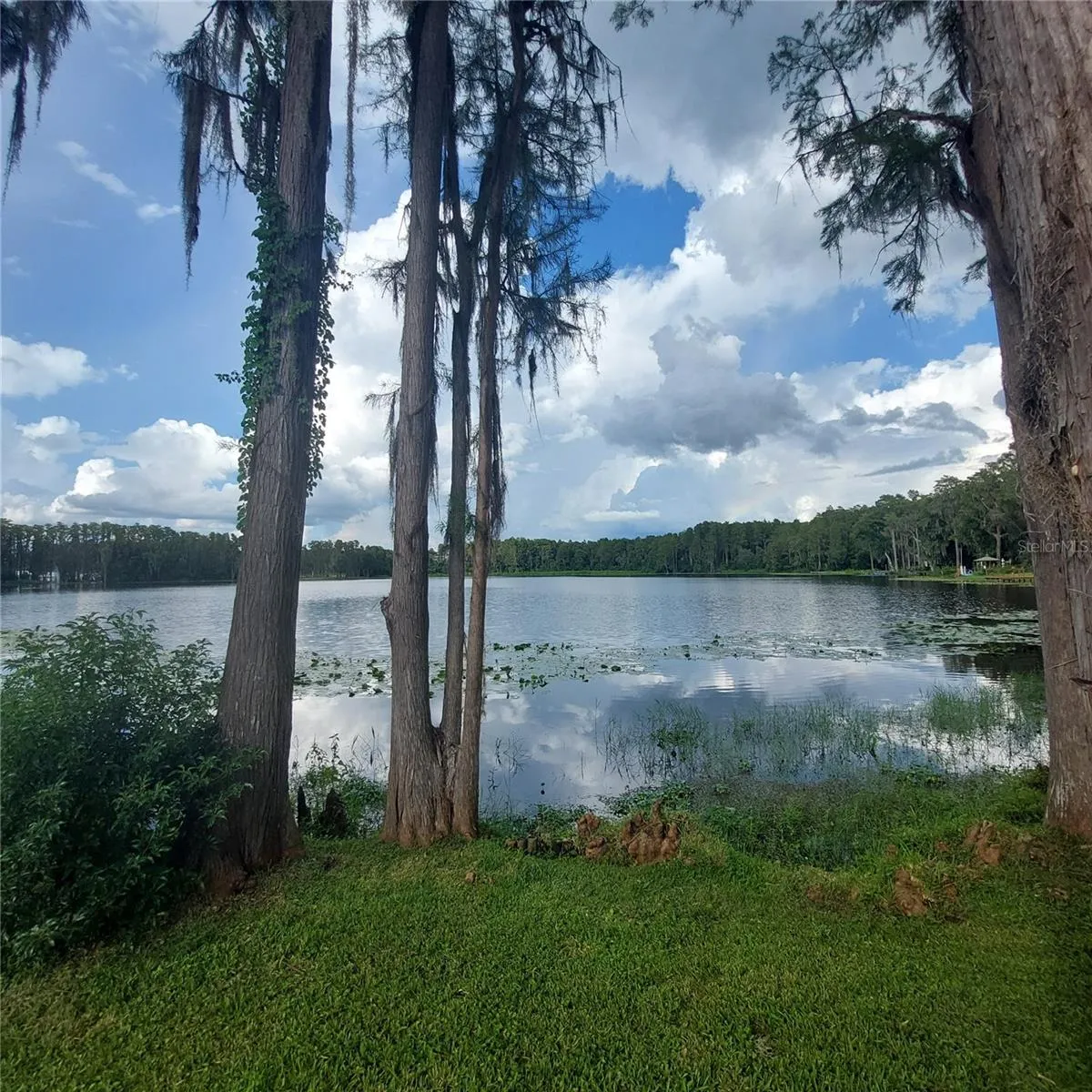 a view of the lake that's yours to enjoy