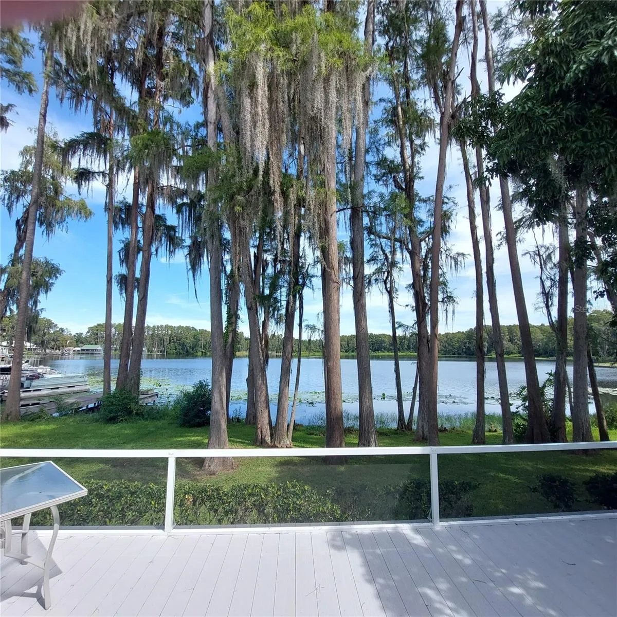 view from the center of the back deck