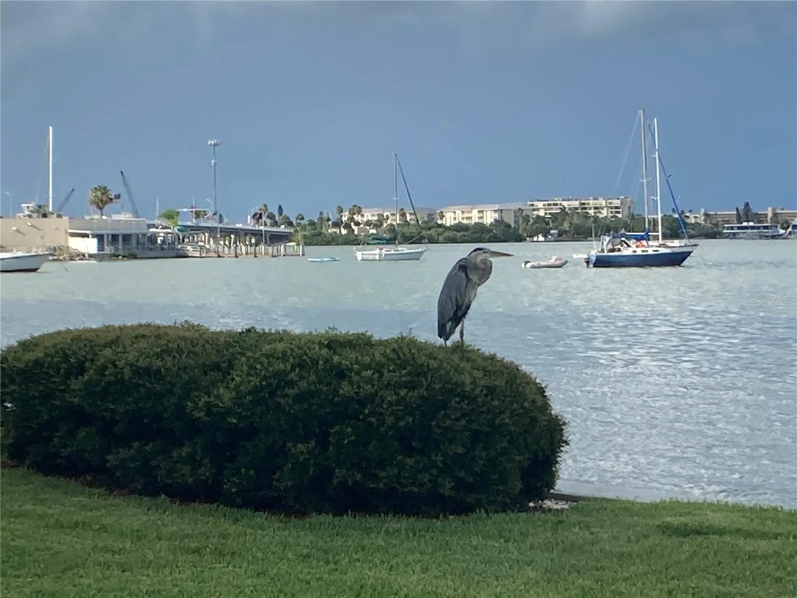 Bird life is abundant along with sea life