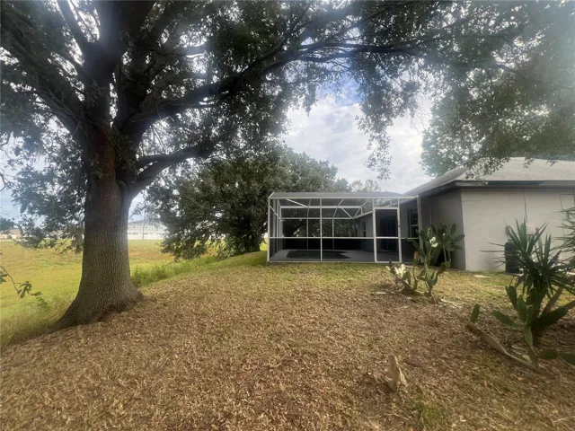 Backyard