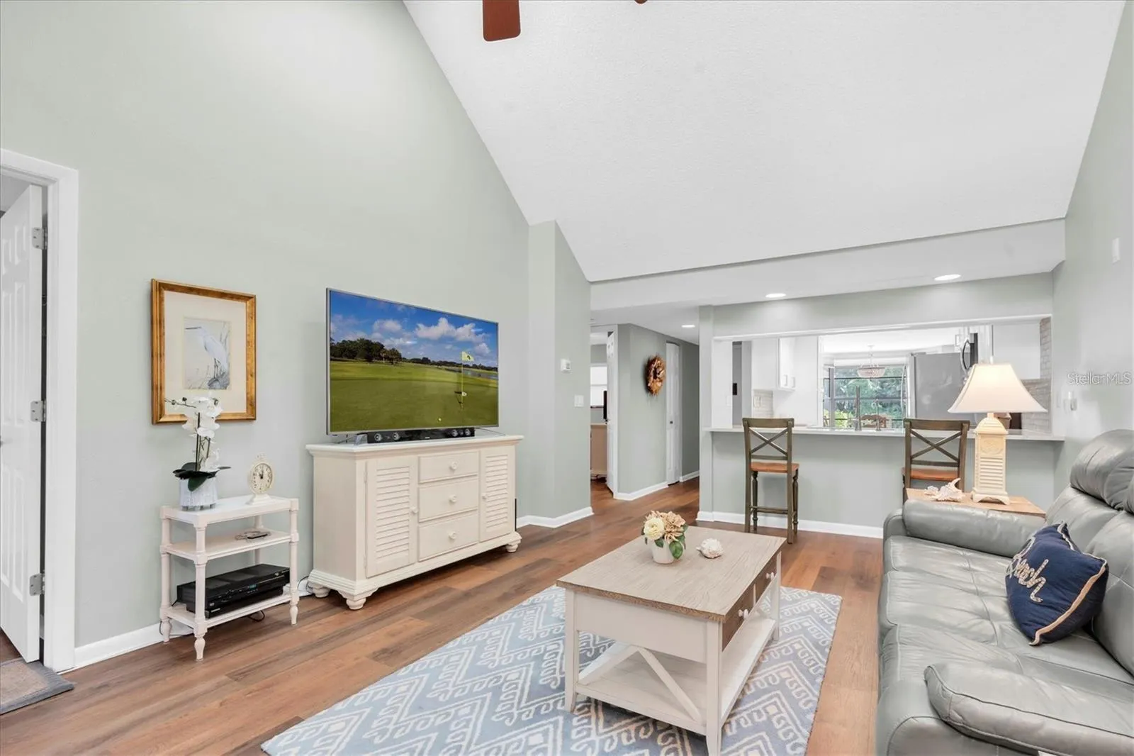 Vaulted Ceiling with sky lights