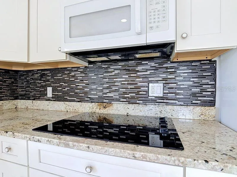 In-Law Suite Kitchen