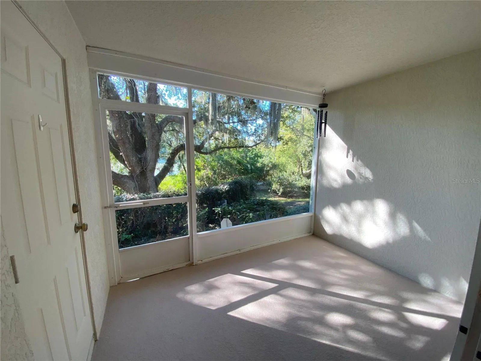 Back Patio