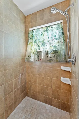 Primary Shower