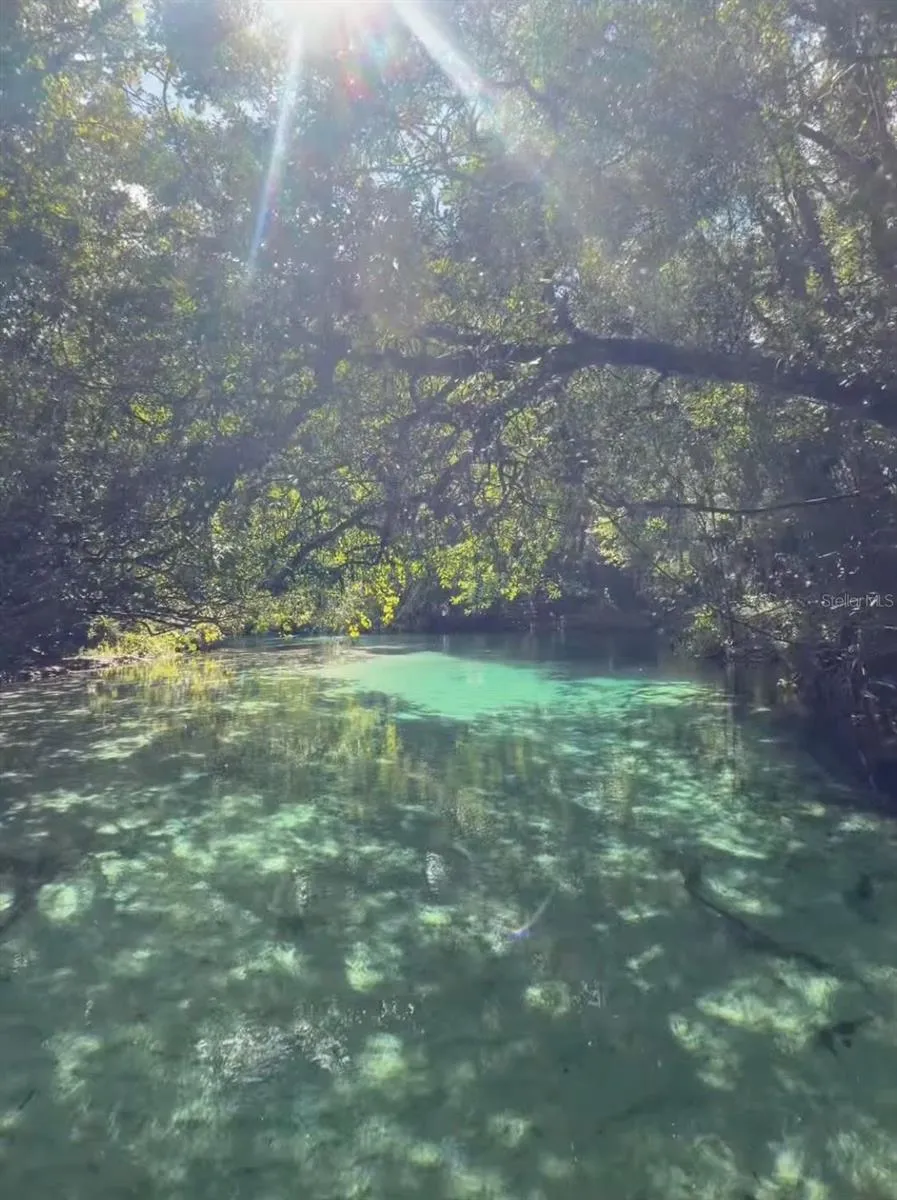 View of Weeki Wachee River