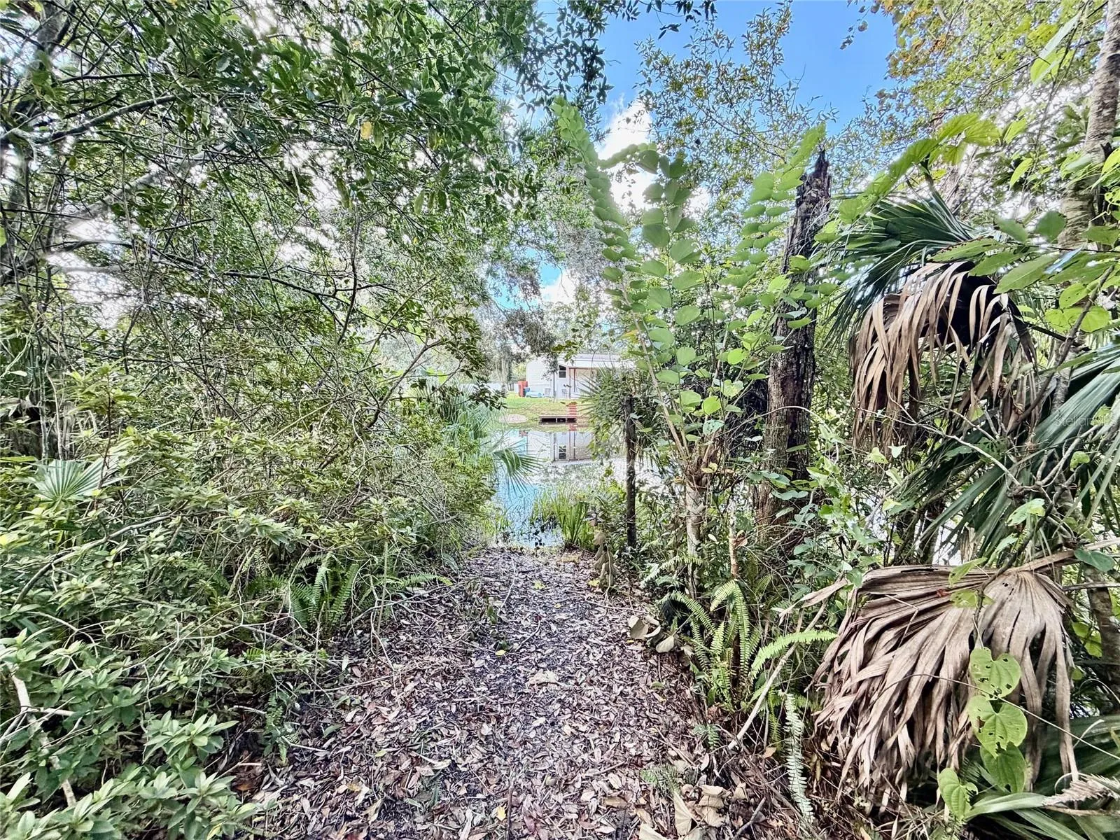 Backyard water view from property