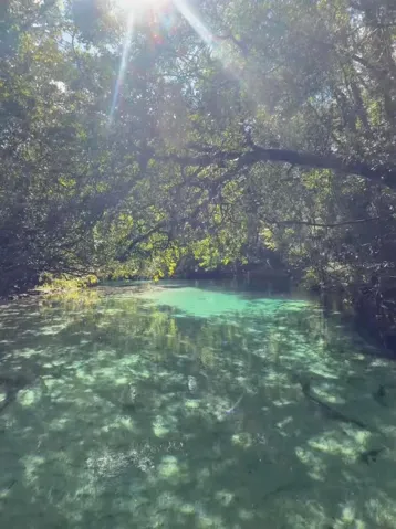 View of Weeki Wachee River