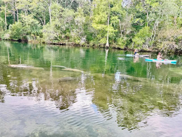 View of Weeki Wachee River