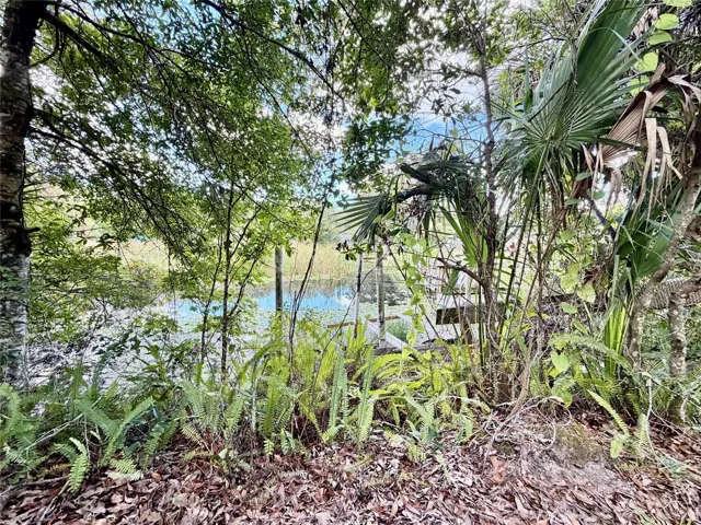 Backyard waterfront view