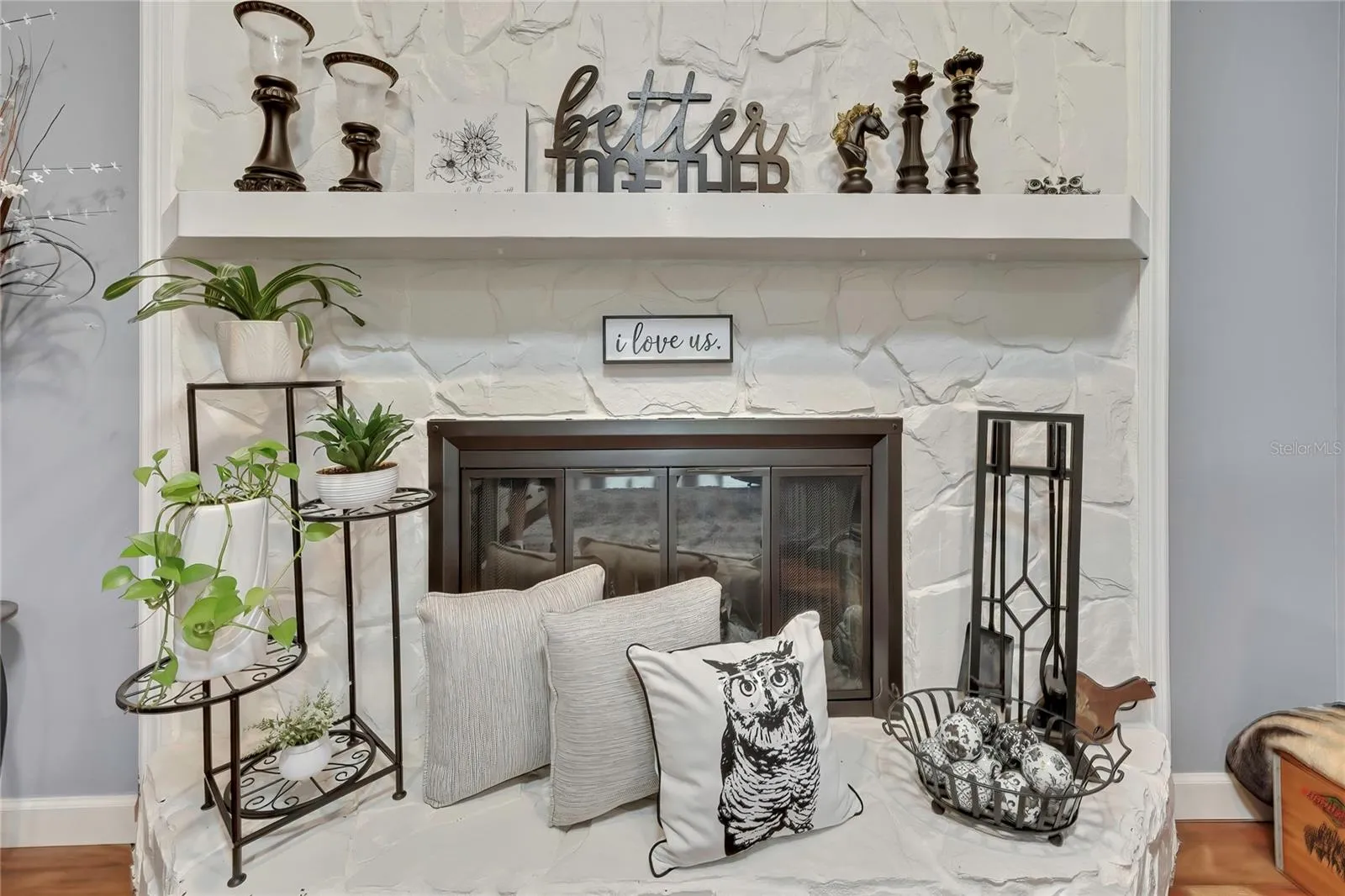 Wood Burning Fireplace