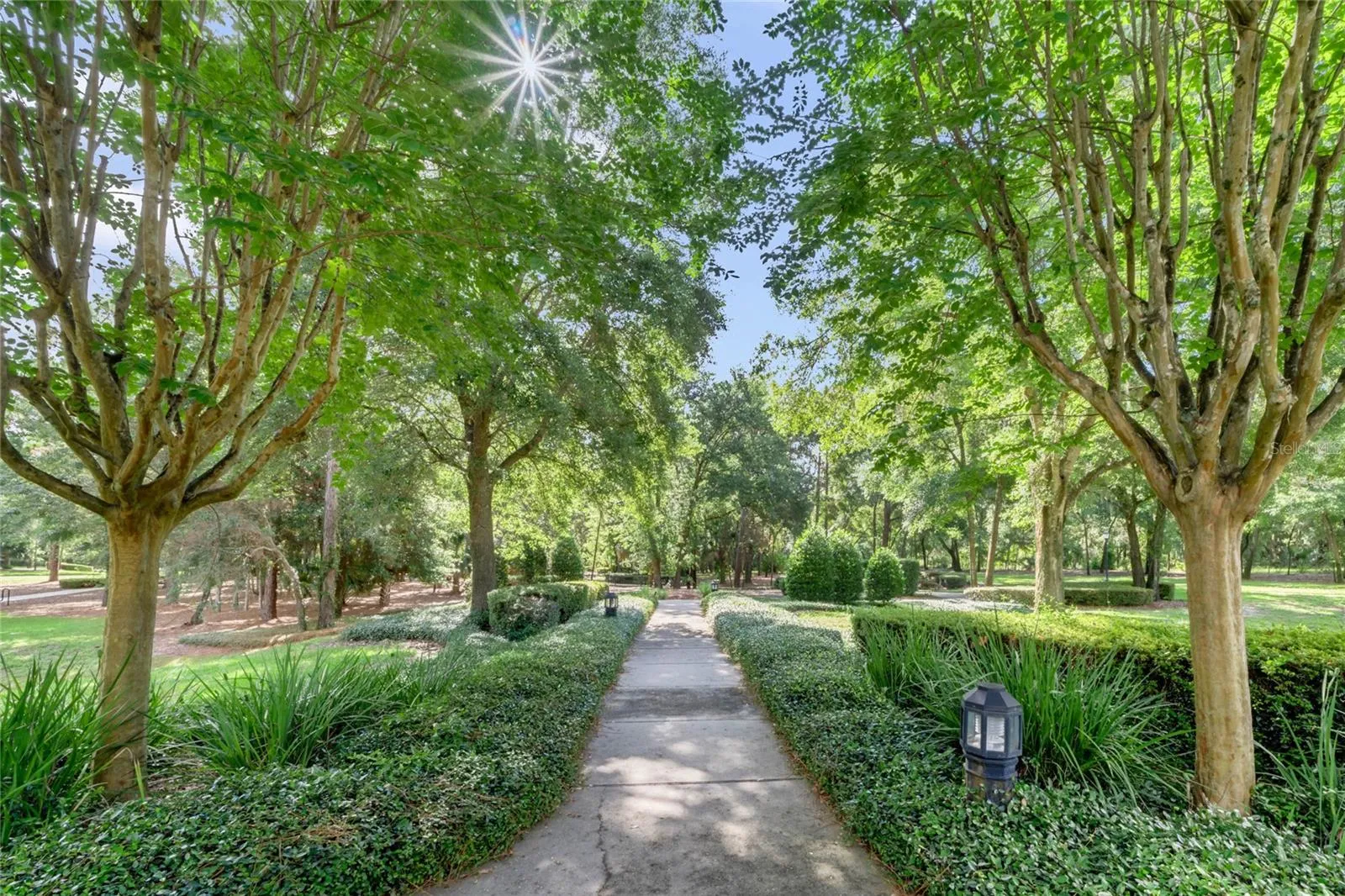 Walking paths
