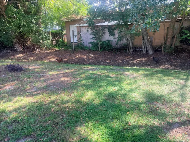 Backyard