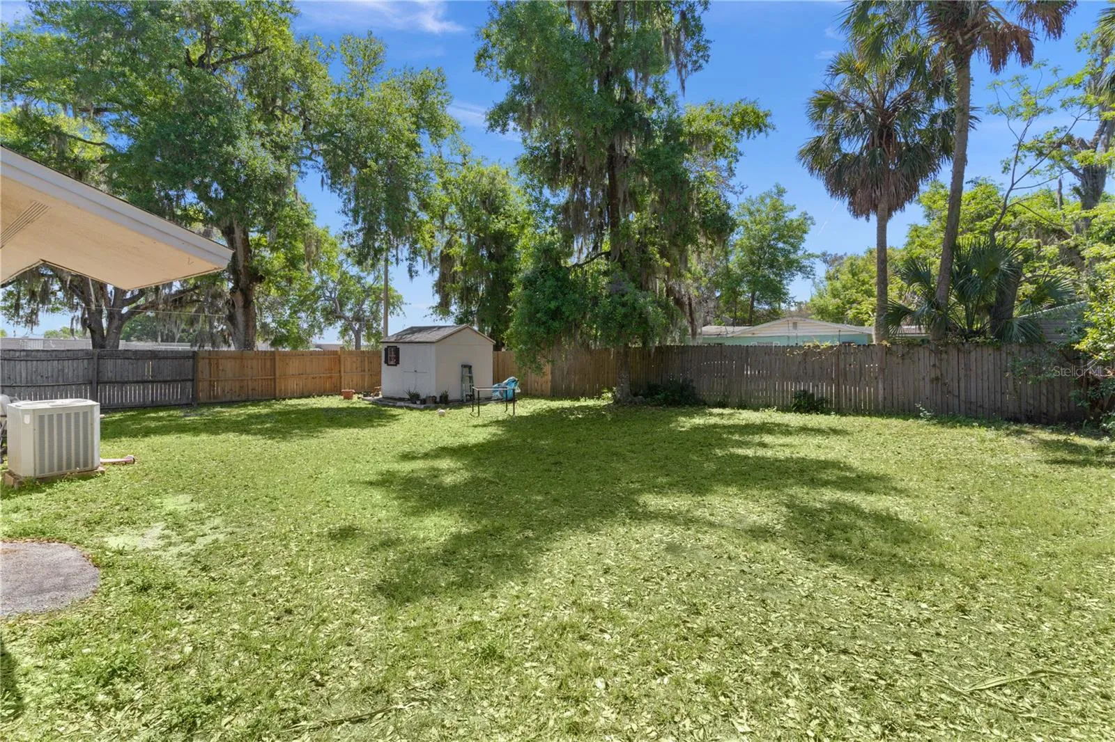large back yard