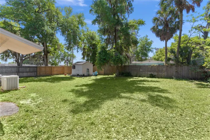 large back yard
