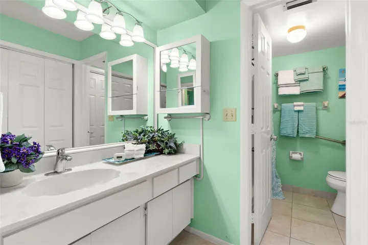 Master bath sink area