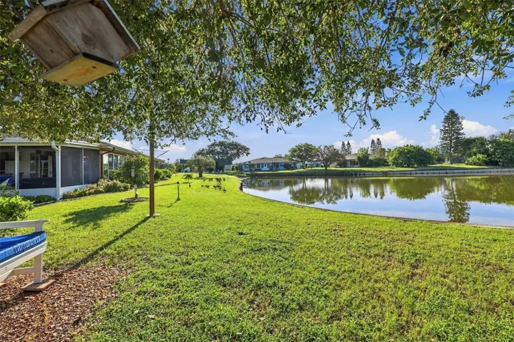 Side view of the backyard.