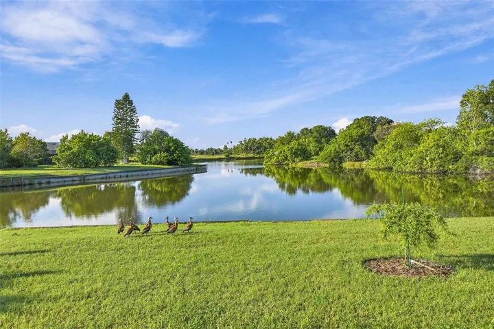 This is the view from your Florida room.  Wild life is abundant and nothing but peace and tranquility.