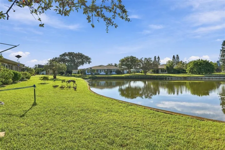 Side view of the back yard.
