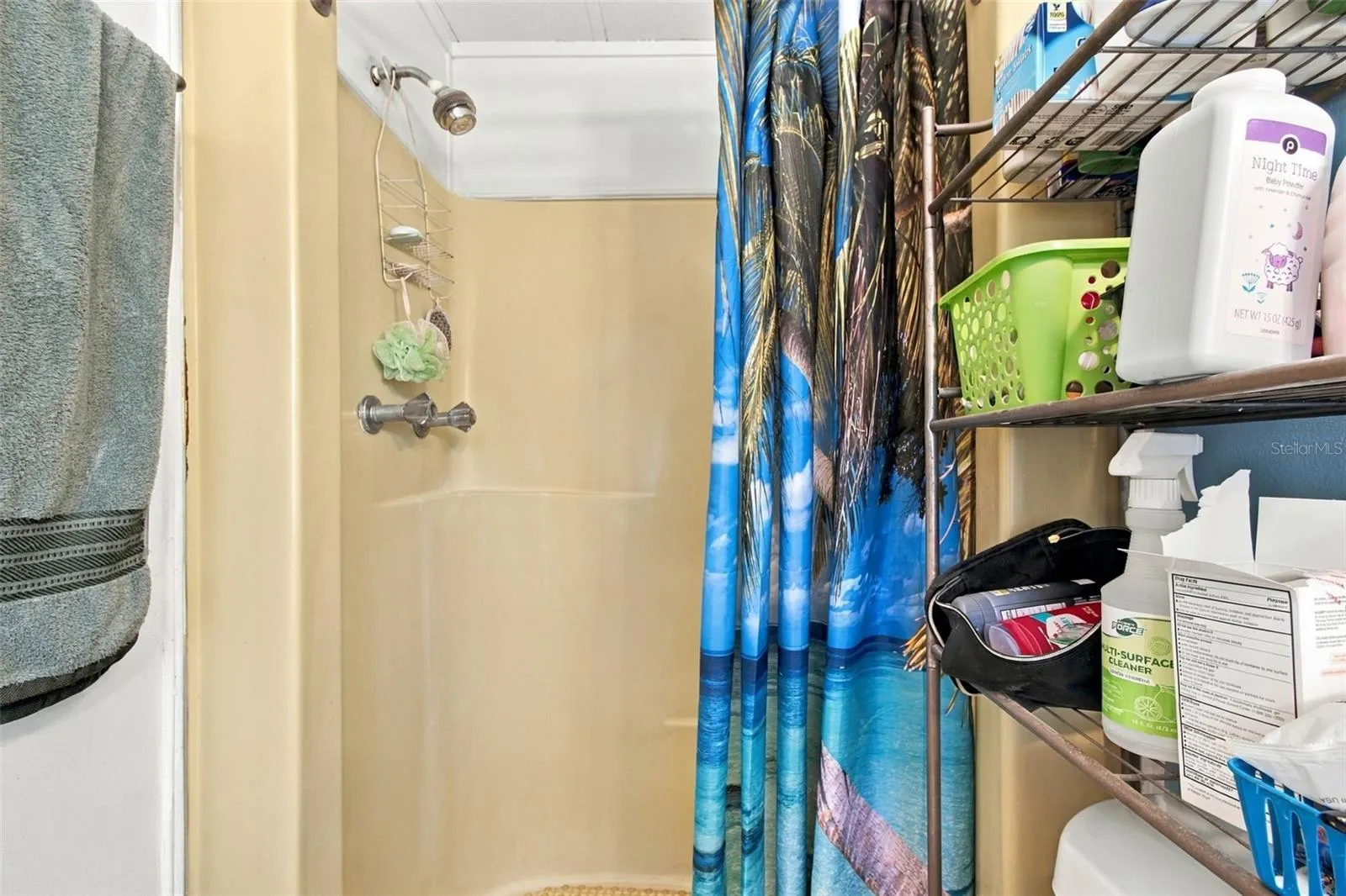 Walk-in shower