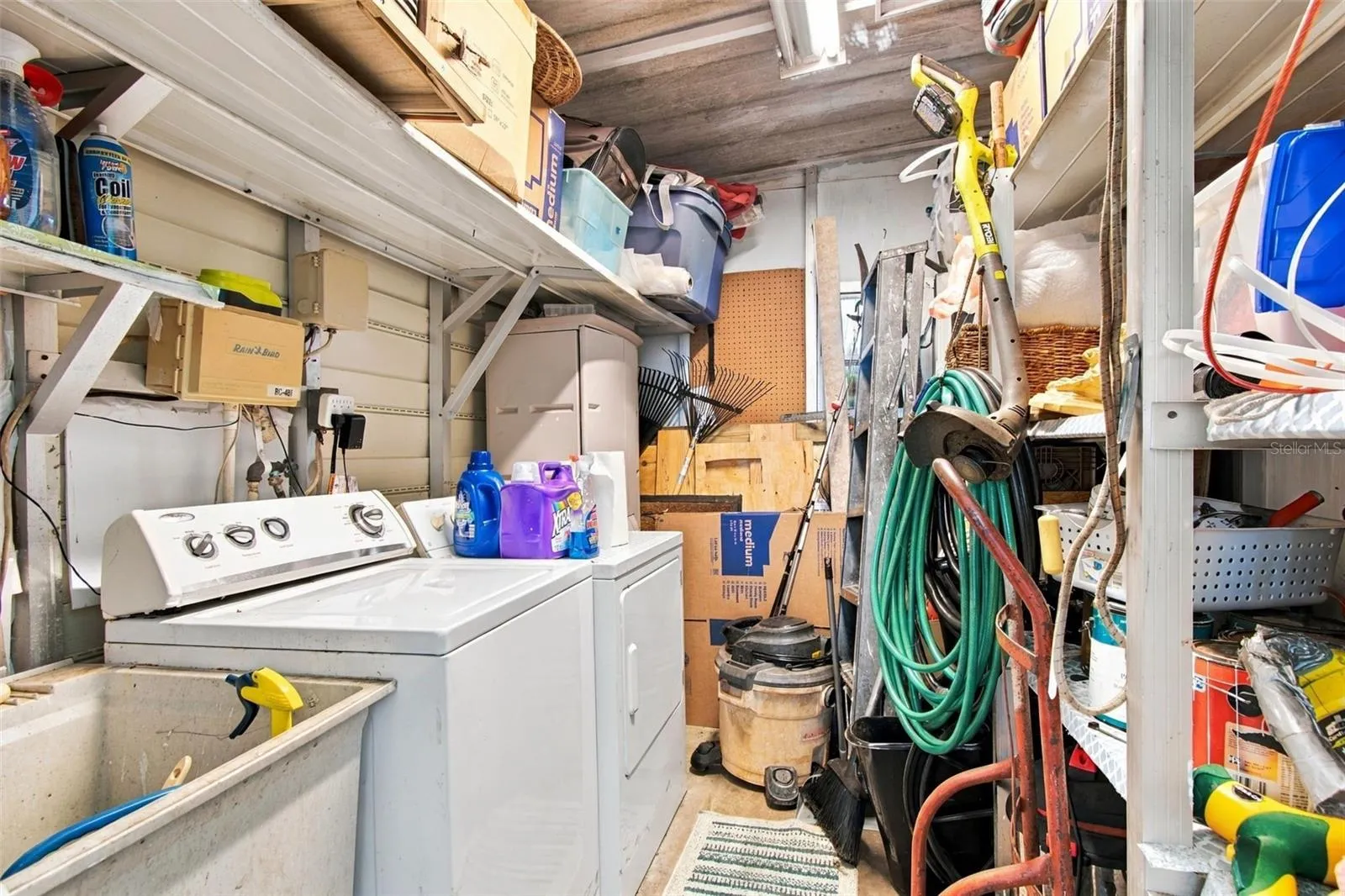 Shed and laundry